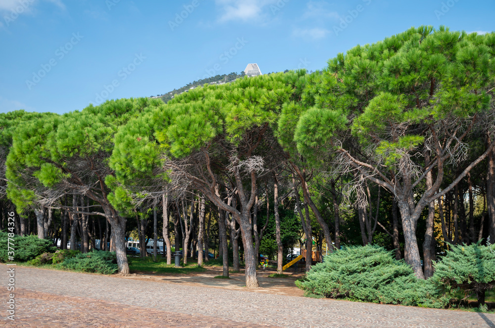 City green embankment, Trieste, Italy