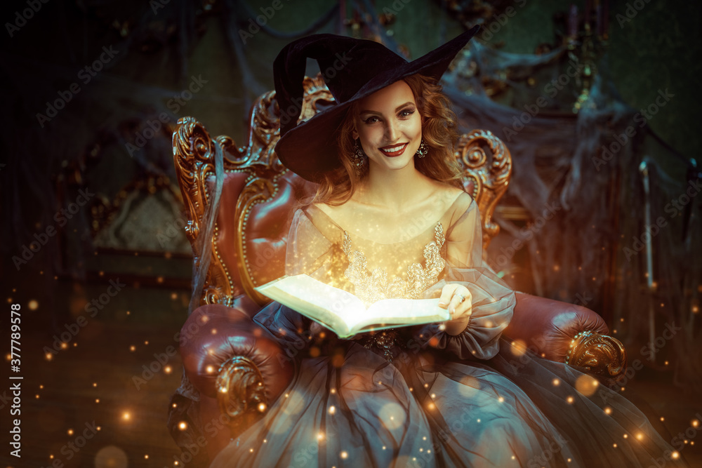 Fototapeta premium fairy with magic book