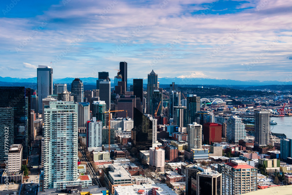 Fototapeta premium Seattle skyline and Mount Rainer in the background