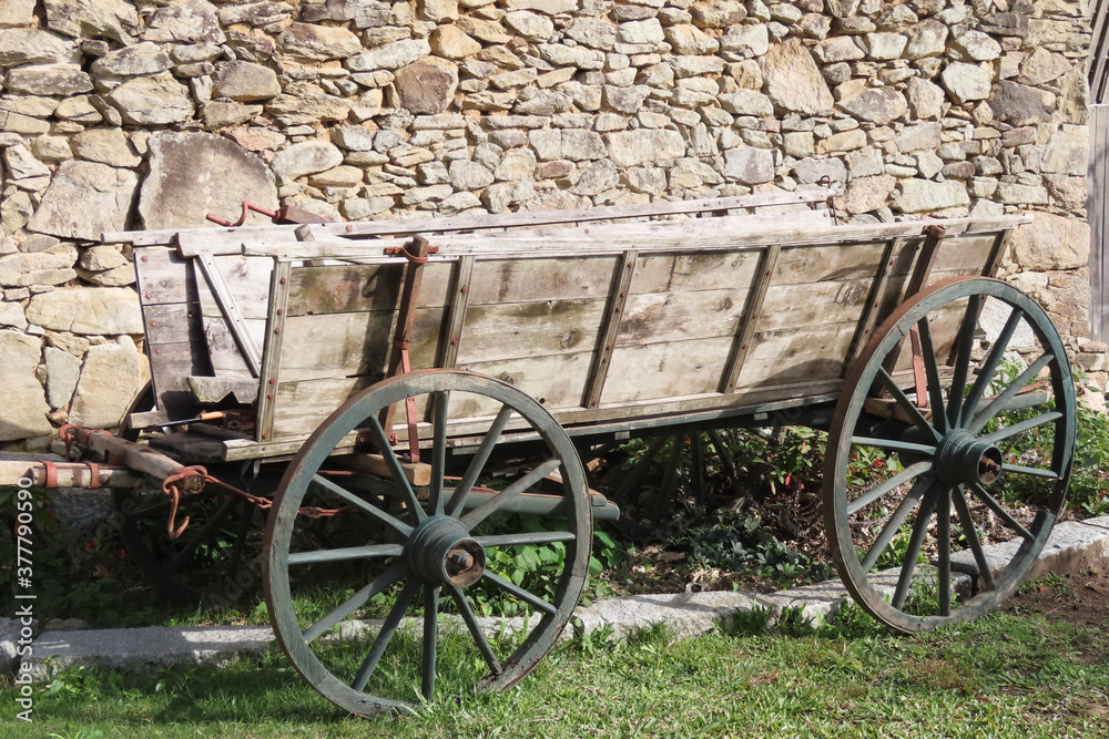 Obraz premium old cart