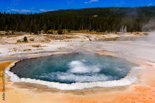 Boiling water of Crested pool in upper bassin of Yellowstone