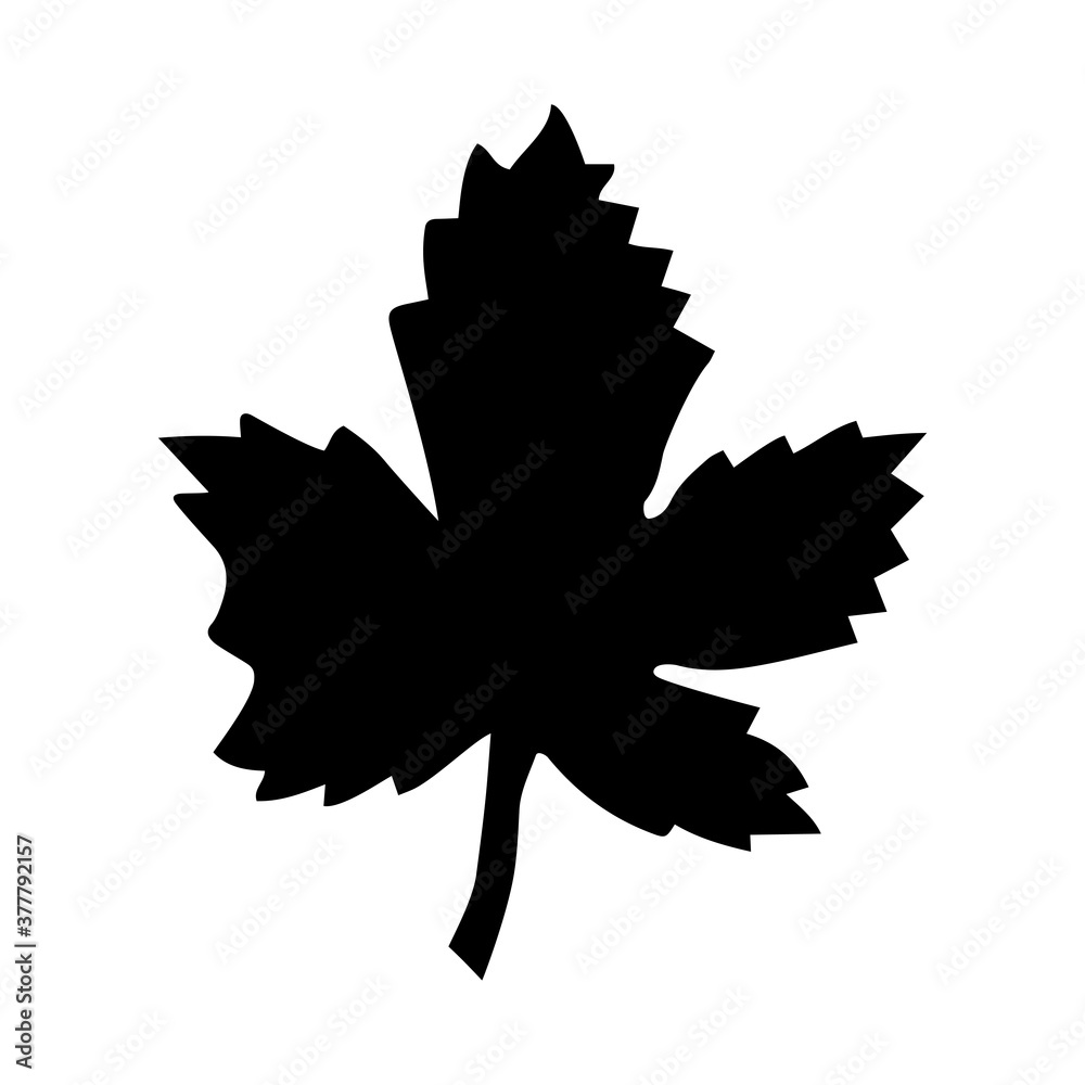 Maple or grape leaf silhouette. Vector illustration. Design element isolated on white background. Maple or grape leaf silhouette. Vector illustration. Design element isolated on white background.