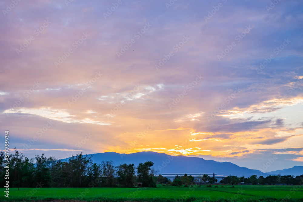 beautiful warm colorful sunrise or stunning sunset at a large mountain, with green rice field scenery in summer farming time, Asian county, or agriculture countryside. landscape background texture.