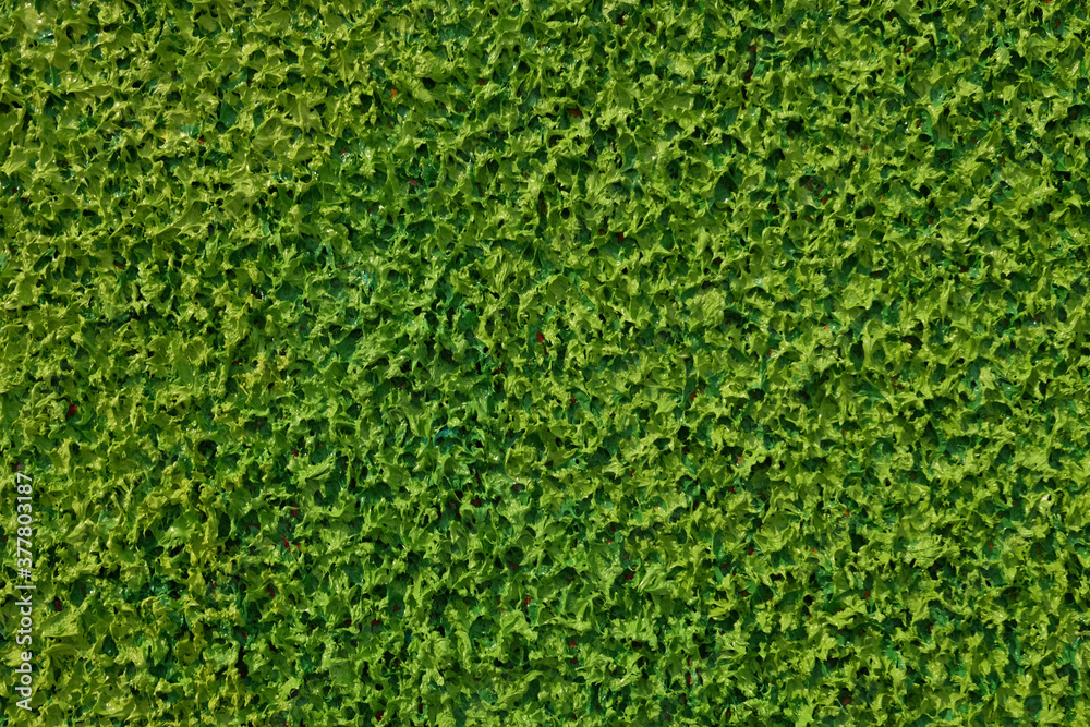 Green oil Paint texture.  Rough surface. gives a grass texture 