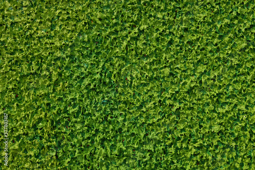 Green oil Paint texture. Rough surface. gives a grass texture 
