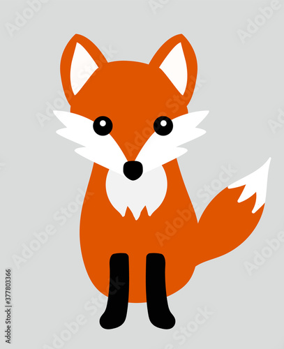 Cute fox isolated on grey background. Vector illustration