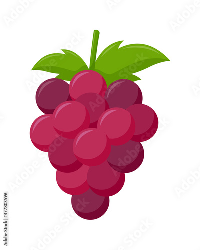Red grape with green leaves isolated on white background, flat design, fruit vector illustration