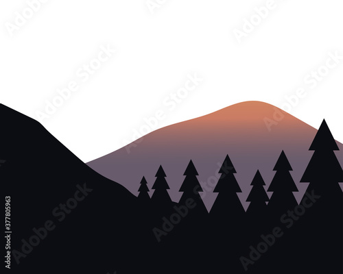 pine trees in front of mountain landscape vector design