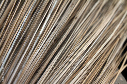 Closeup portrait of Broom stick
