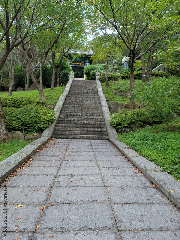 path in the park