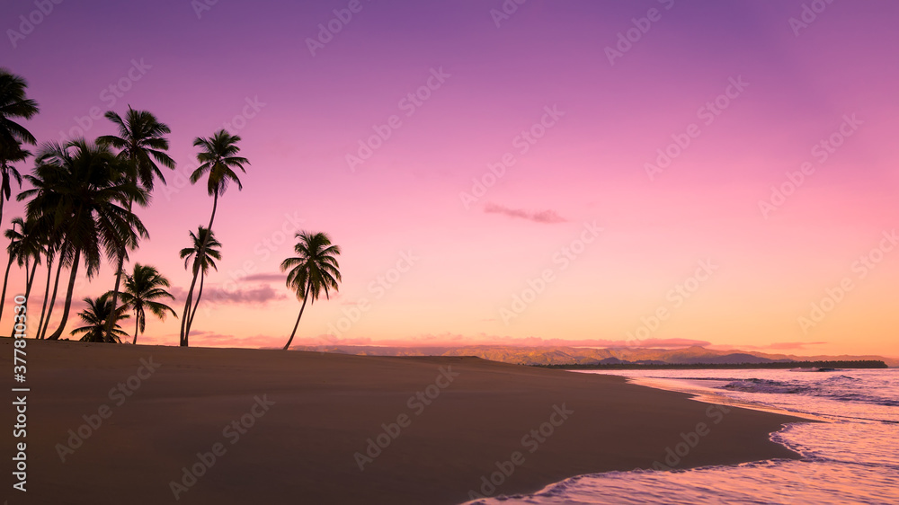 Silhouettes of a palm trees on a tropical beach at sunrise. Wave on the sand. Beautiful tropical background