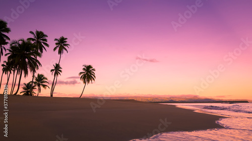 Silhouettes of a palm trees on a tropical beach at sunrise. Wave on the sand. Beautiful tropical background © Bankerok