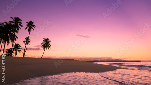 Silhouettes of a palm trees against purple sky on a tropical beach at sunset. Waves rolling on the sand. Beautiful tropical background