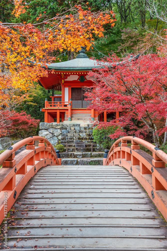 pavilion and bridge in japanese garden in Daigoji temple in Kyoto, Japan in autumn season pavilion and bridge in japanese garden in Daigoji temple in Kyoto, Japan in autumn season