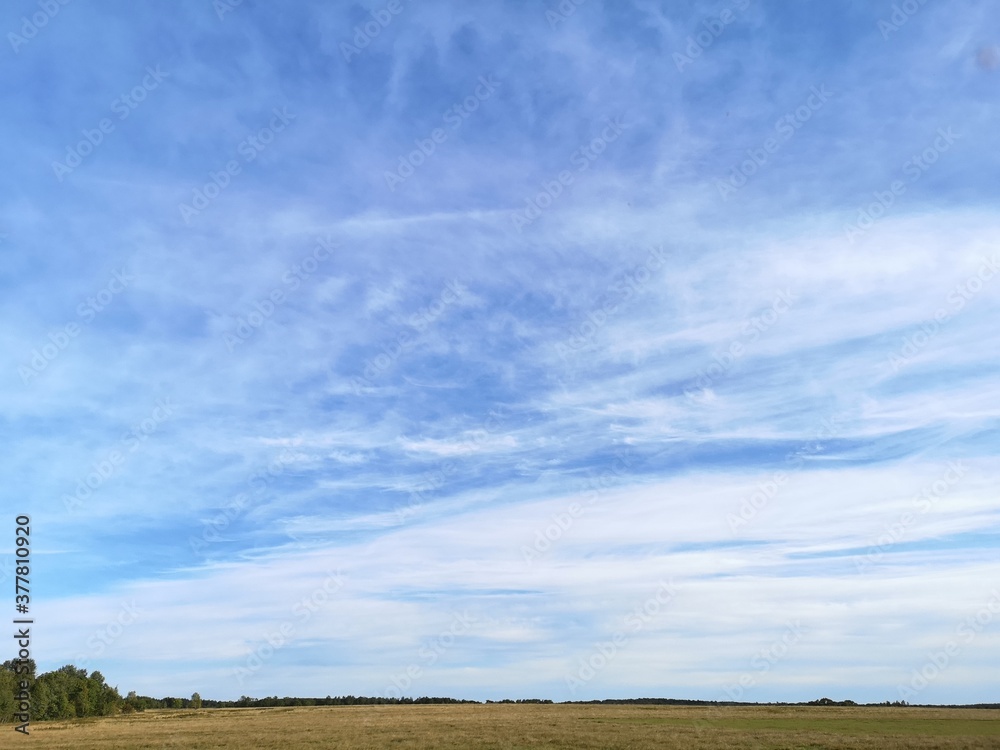 Blue sky with feathery clouds