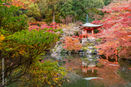 Idyllic landscape of Beautiful japanese garden with colorful maple trees in Daigoji temple in autumn season, Kyoto, Japan