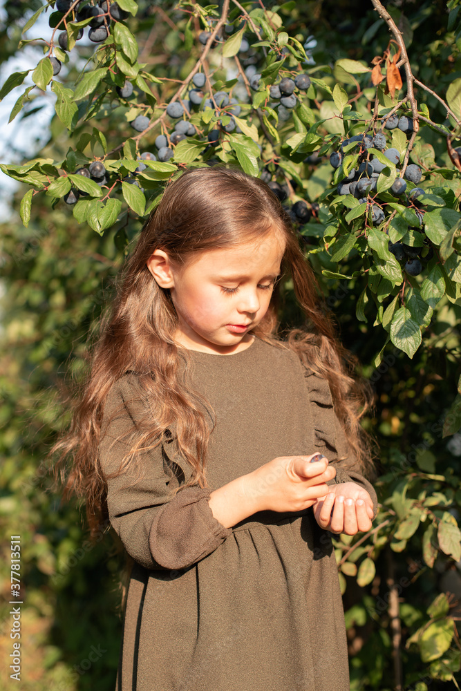 Little girl in green dress picks blackthorn fruits Little girl in green dress picks blackthorn fruits
