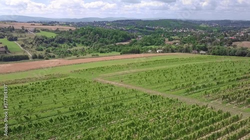 Beautiful winery field located in European vineyard valley_03
Drone view. photo