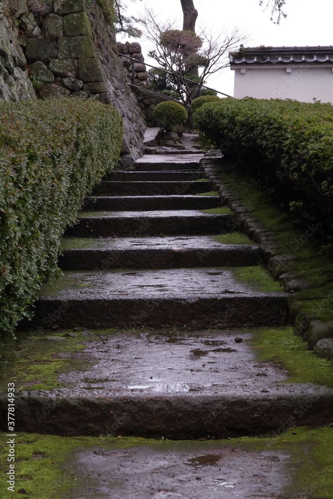 一本松 一本松