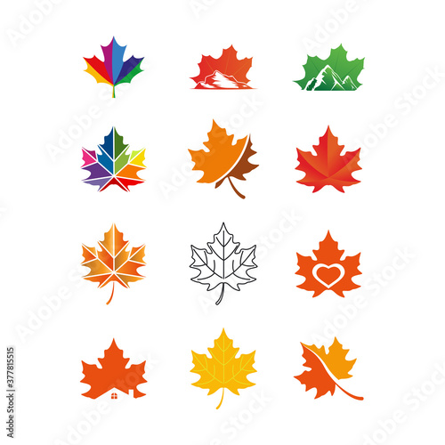 maple leaf logo icon design template vector	