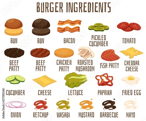 Vector poster with set burger and sandwich ingredients