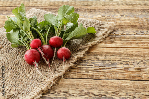 Ripe red radishes with green leaves on sackcloth and wooden boards.
