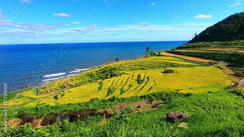 秋の日本海と白米千枚田