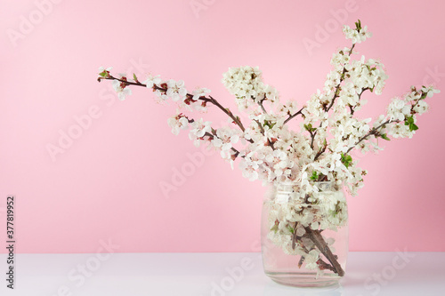 Spring flowers in glass vase on pastel background for postcards  greetings for Mother s Day  Valentine s Day. Copy space.