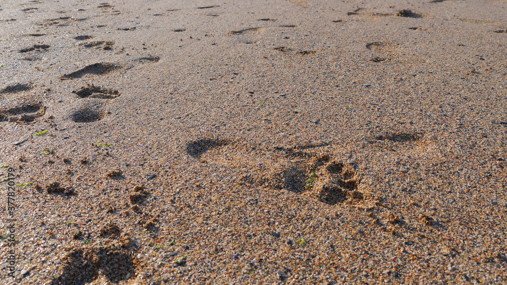 Footprints in the sand Footprints in the sand