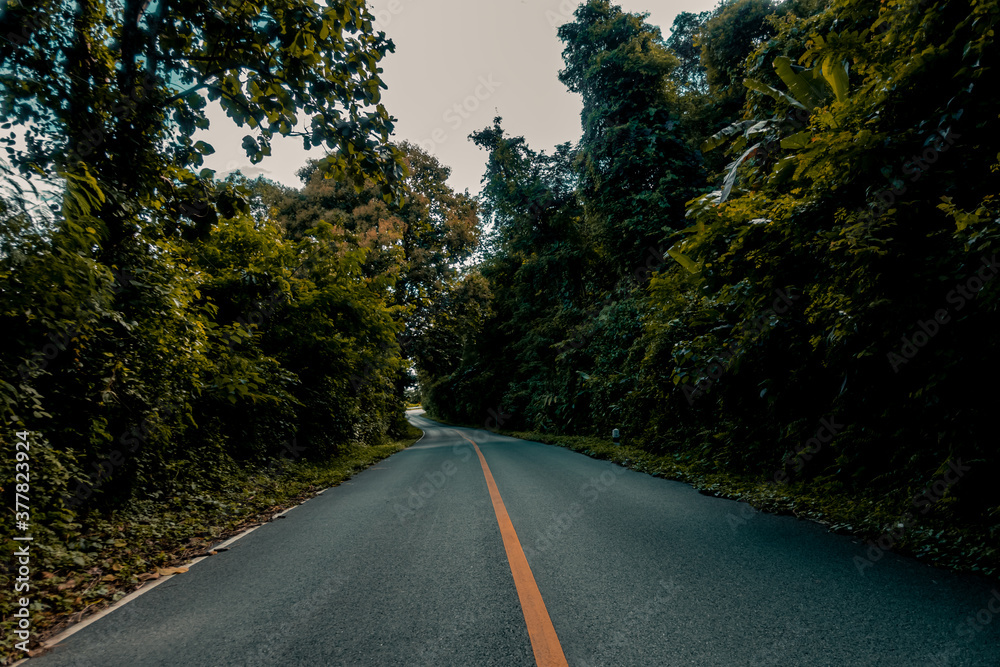 Fototapeta premium Countryside road passing through the serene lush greenery and foliage tropical rain forest mountain landscape on the Doi Phuka Mountain reserved national park the northern Thailand