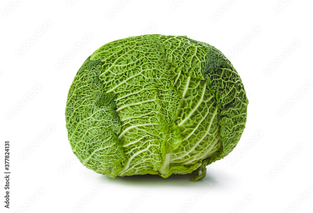 Fototapeta premium Cabbage