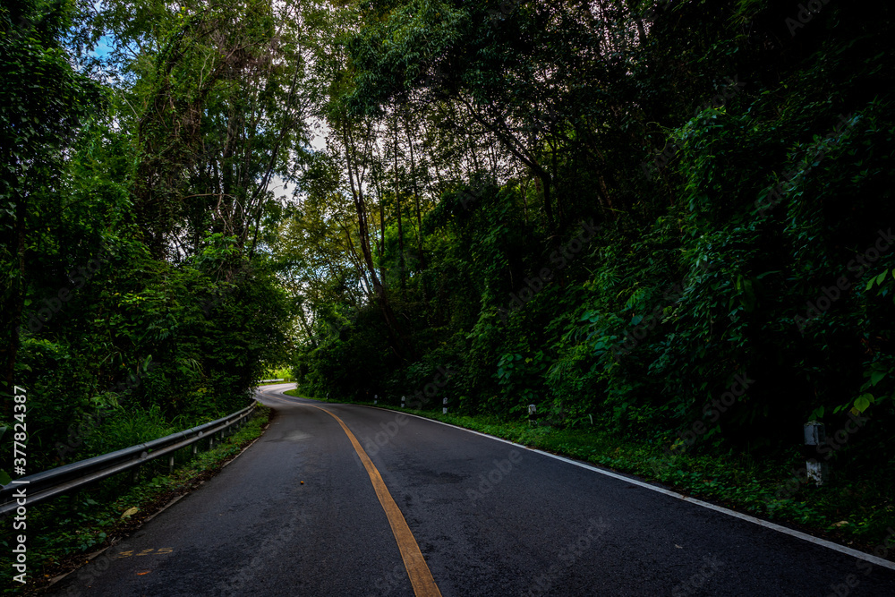 Countryside road passing through the serene lush greenery and foliage tropical rain forest mountain landscape on the Doi Phuka Mountain reserved national park the northern Thailand