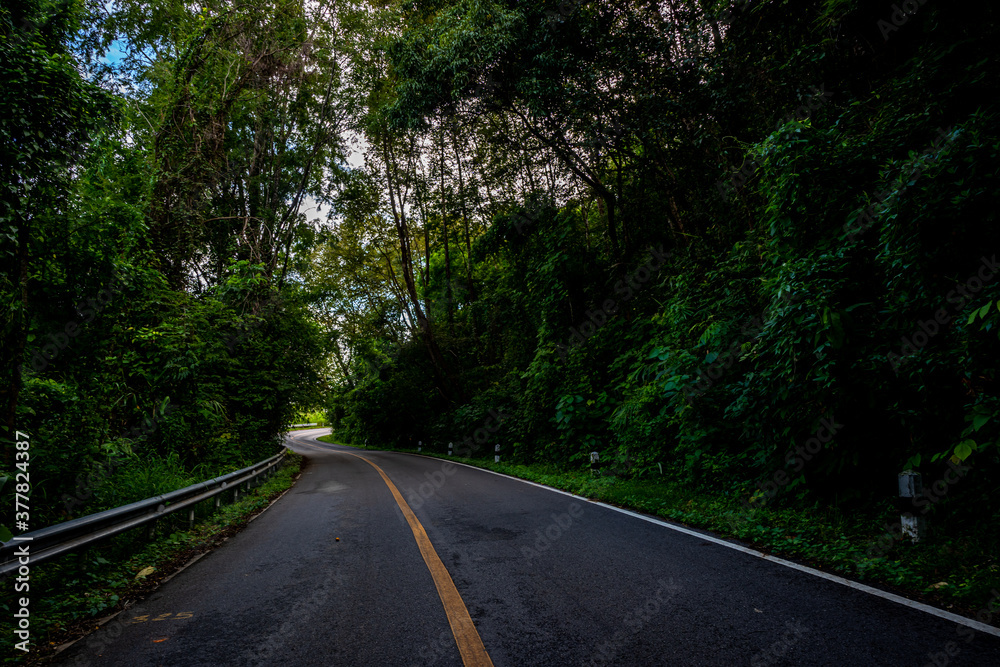 Countryside road passing through the serene lush greenery and foliage tropical rain forest mountain landscape on the Doi Phuka Mountain reserved national park the northern Thailand Countryside road passing through the serene lush greenery and foliage tropical rain forest mountain landscape on the Doi Phuka Mountain reserved national park the northern Thailand