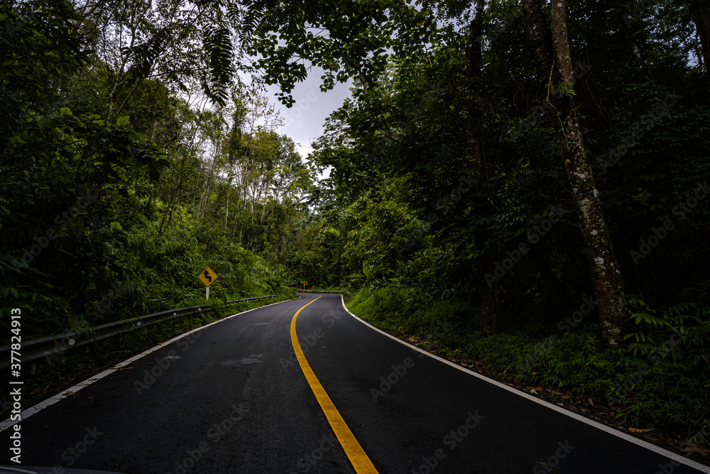 Obraz premium Countryside road passing through the serene lush greenery and foliage tropical rain forest mountain landscape on the Doi Phuka Mountain reserved national park the northern Thailand