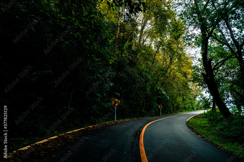 Obraz premium Countryside road passing through the serene lush greenery and foliage tropical rain forest mountain landscape on the Doi Phuka Mountain reserved national park the northern Thailand