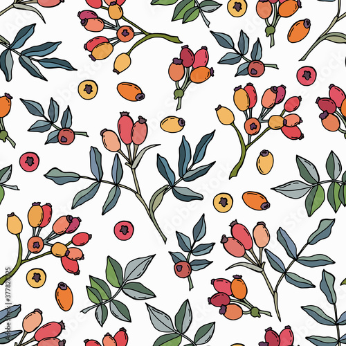Rosehip berry seamless pattern. Doodle style. White background,  isolation. Stock illustration. Design for wallpaper, packaging, fabric, textile, wrapping paper.