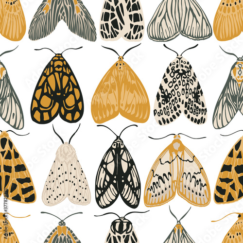Seamless pattern colored nocturnal butterflies. Vector illustration