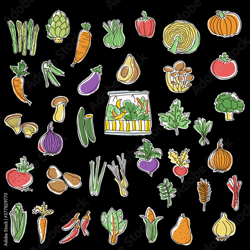 Collection of illustrations of interesting vegetables,