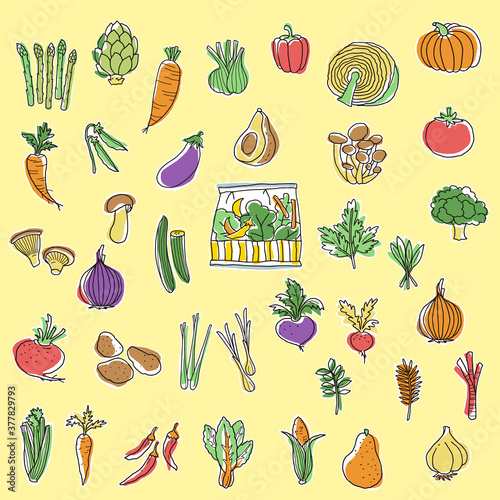 Collection of illustrations of interesting vegetables,