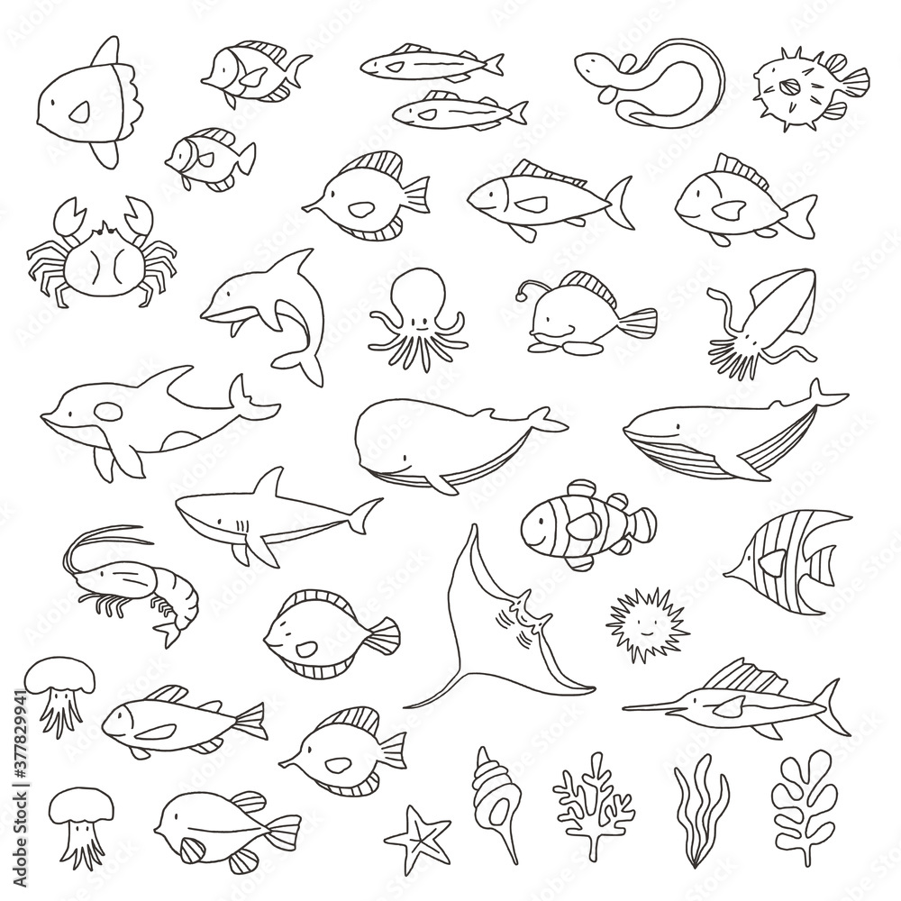 Collection of illustrations of a pretty fish, Collection of illustrations of a pretty fish,