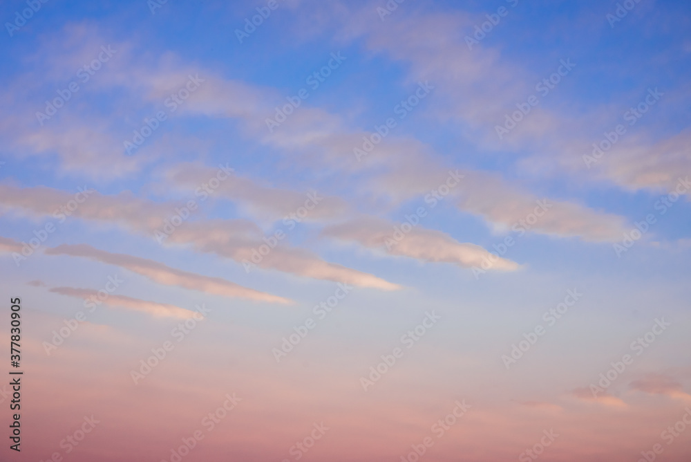 Beautiful pink clouds on the blue sky during sunset. Beautiful natural background