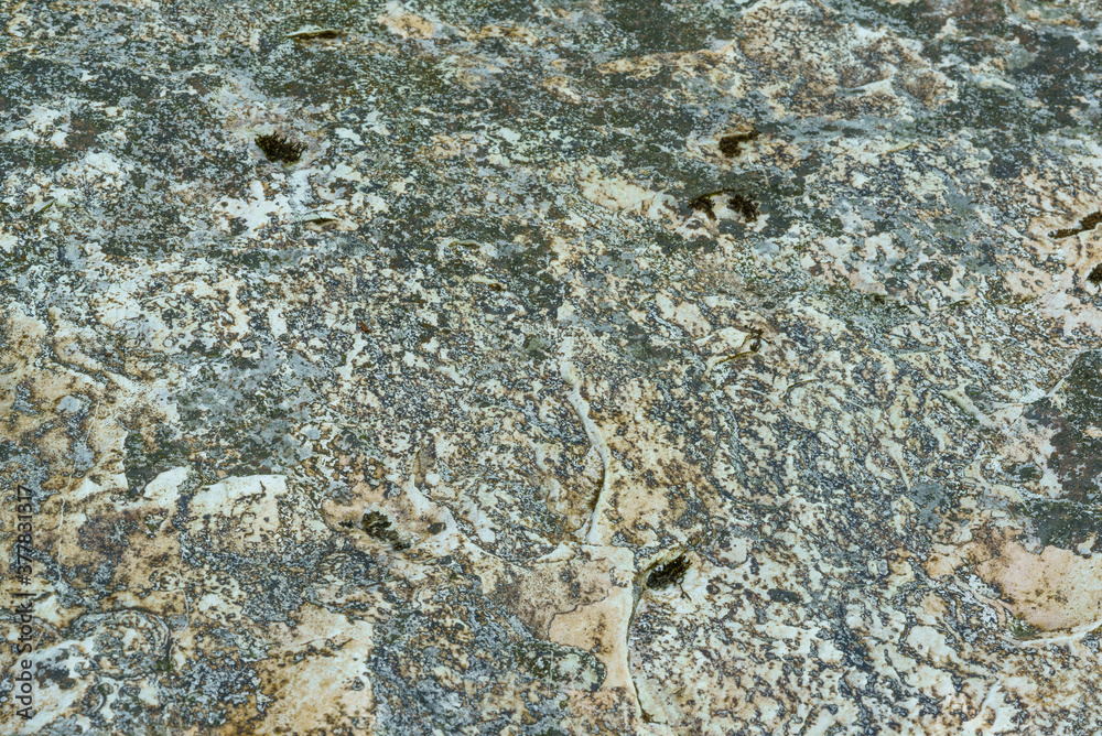 Background of stone texture with moss. Close up image