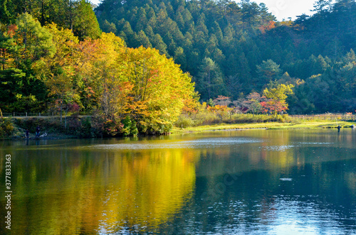 湖面の秋