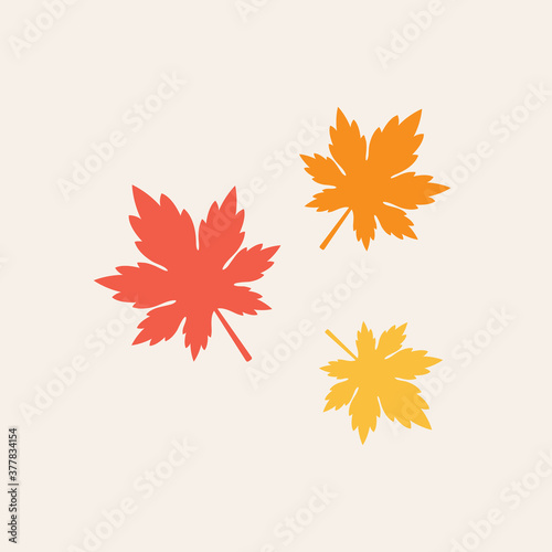 Maple leaves vector illustration