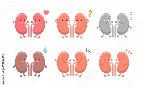 Human organs kidneys, expressions and actions set