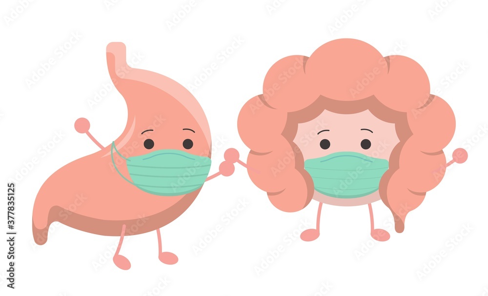 Organ wearing a mask, intestines and stomach, illustration icon cartoon character, vector flat design, isolated on white background