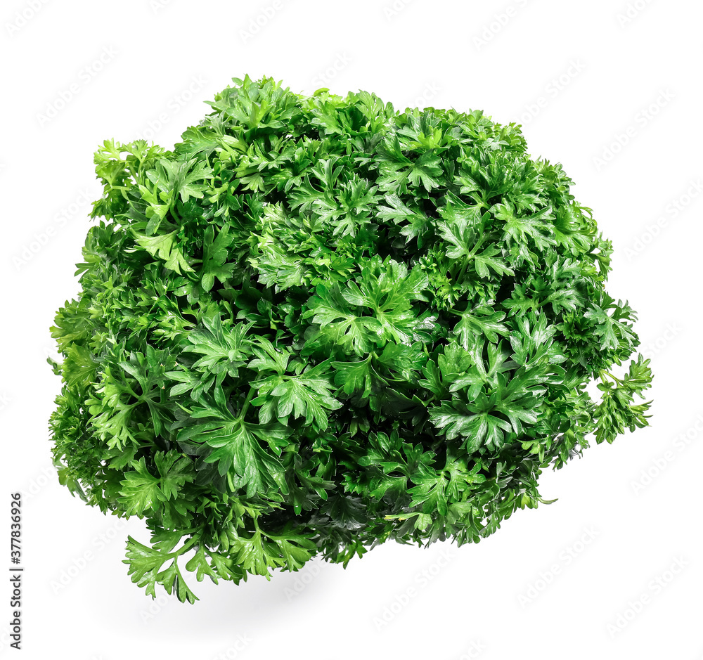 Obraz premium Fresh parsley on white background