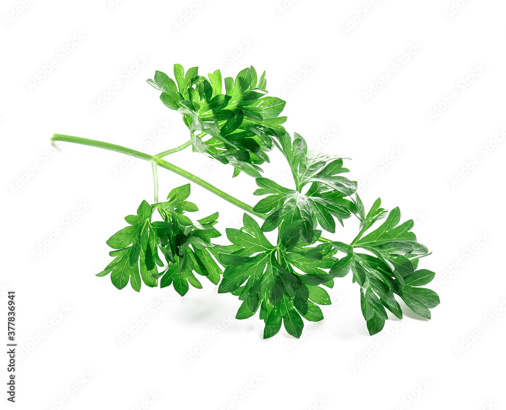 Fresh parsley on white background Fresh parsley on white background
