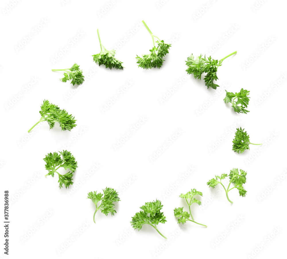 Frame made of fresh parsley on white background Frame made of fresh parsley on white background