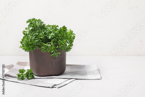 Fresh parsley on white table